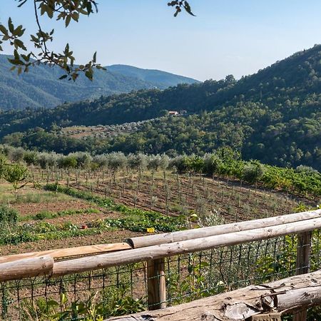 Poggio Al Mandorlo Villa Greve in Chianti Exterior foto