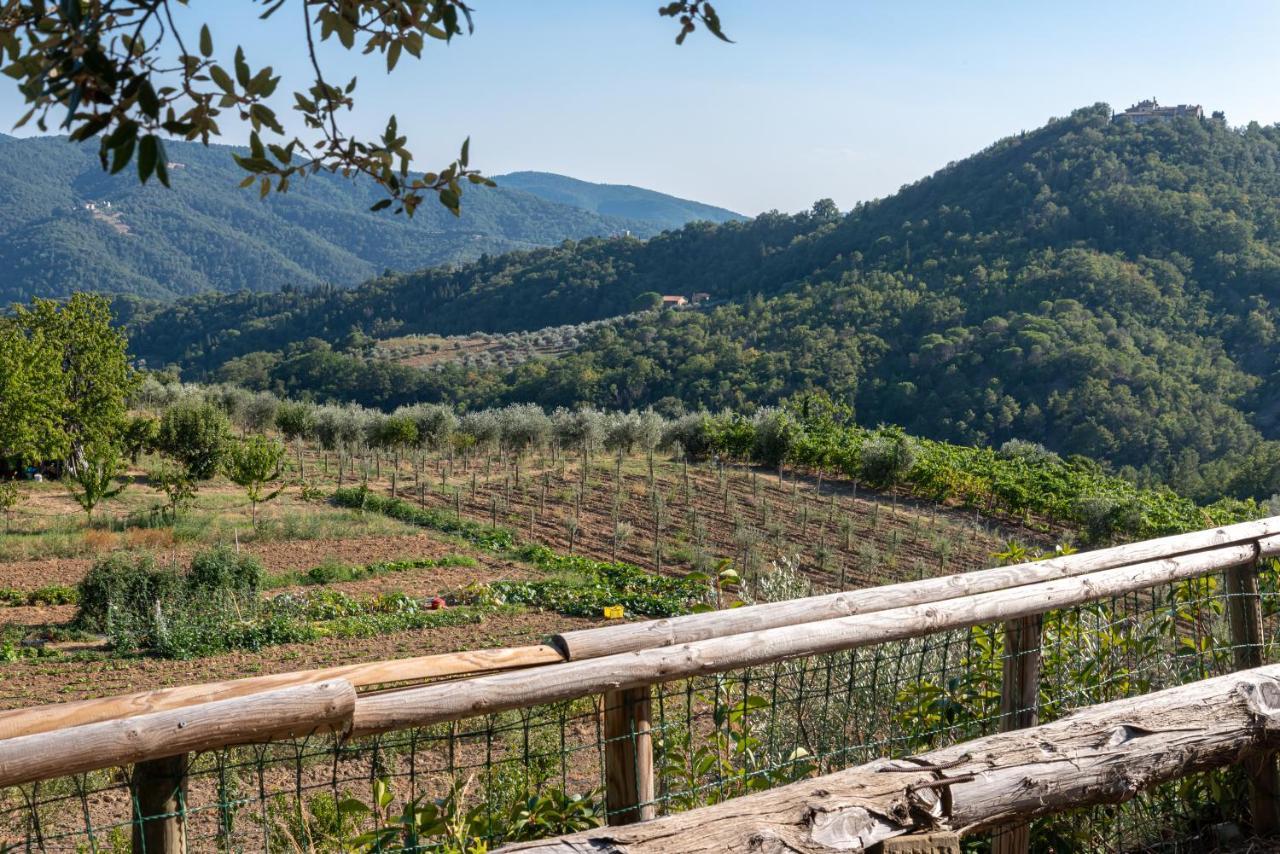 Poggio Al Mandorlo Villa Greve in Chianti Exterior foto